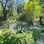 In With Garden Views