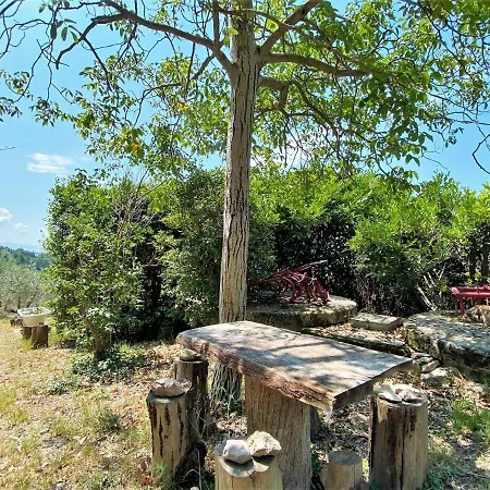 In With Garden Views Assisi