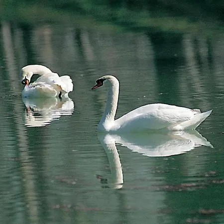 In With Garden Views * Assisi
