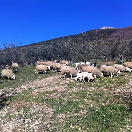 Дом отдыха In With Garden Views Ассизи