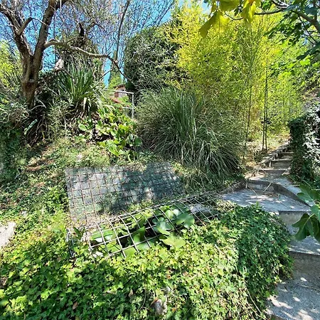 In With Garden Views