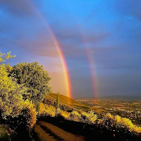 In With Garden Views